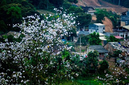 Những điểm du lịch hấp dẫn dịp cuối năm