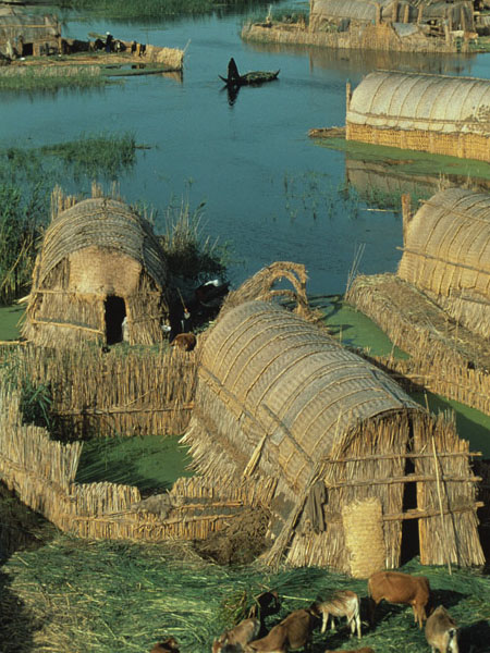 Những ngôi nhà lau sậy hùng vĩ trên đầm lầy miền Nam Iraq