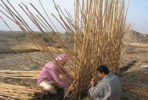 Những ngôi nhà lau sậy hùng vĩ trên đầm lầy miền Nam Iraq
