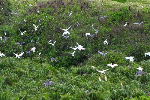 Các tour 'phượt' một ngày thú vị ở Sài Gòn