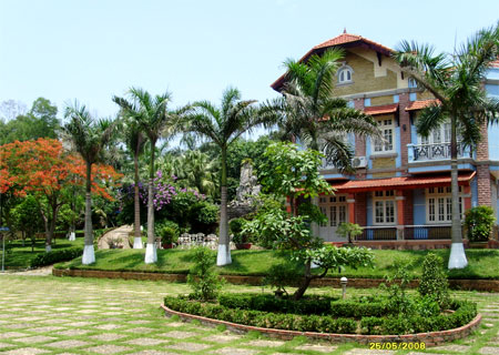 Phong thủy cho cây xanh trong biệt thự nhà vườn 