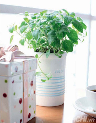 Những góc xanh cho nhà nhỏ