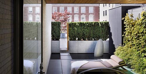 Vườn trong căn hộ ở thành phố