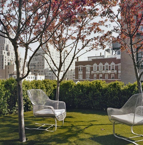 Vườn trong căn hộ ở thành phố