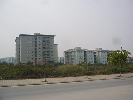 Xông đất các sàn bất động sản: Nhâm Thìn mong bất động sản “động đậy”