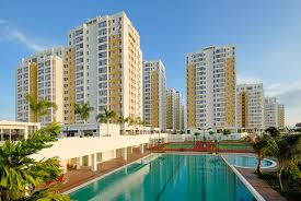 Thăm dò thị trường 