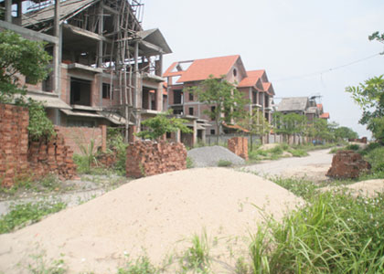 Giữa Thủ đô, biệt thự triệu đô xây cho... bò ở