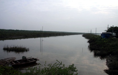 Tháng 3 sẽ kiểm tra việc giao, cho thuê đất bãi bồi