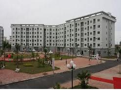 Viglacera: Hợp tác IBST triển khai công nghệ giảm chi phí xây dựng