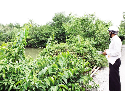 Điêu đứng vì dự án “ma”