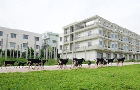 Đề xuất hàng loạt thay đổi trong chính sách đất đai