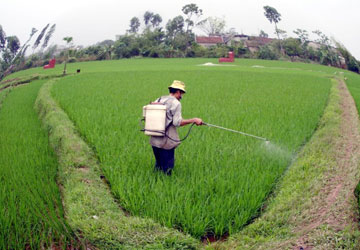 Đề xuất bỏ thời hạn giao đất nông nghiệp