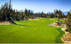 Đà Nẵng “thúc” VinaCapital thực hiện các dự án