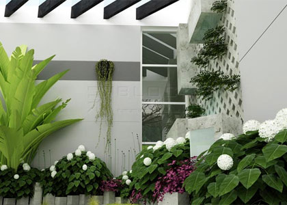 Dụng Mộc theo Phong thủy để đều tiết luồng khí cho nhà 