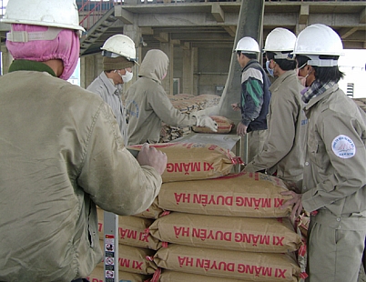 Khủng hoảng thừa xi măng, sắt thép 