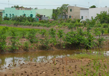 Tìm lối ra cho tiền sử dụng đất vượt hạn mức