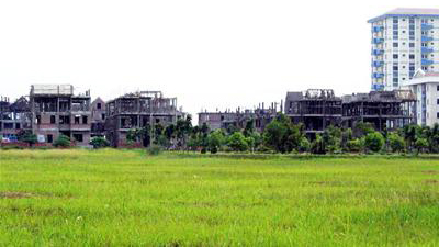 Cần bảo vệ đất trồng lúa