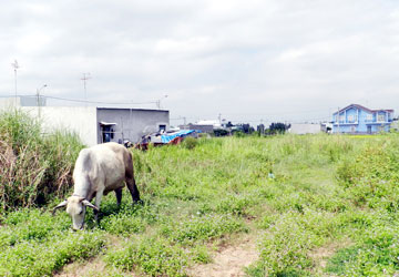 TP LONG XUYÊN, AN GIANG Hàng loạt vụ chuyển mục đích sử dụng đất sai!