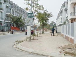 Giới đầu tư đang