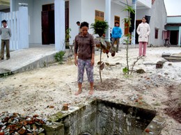 Dự án... hành dân
