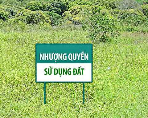 Đua nhau mua đất giá rẻ