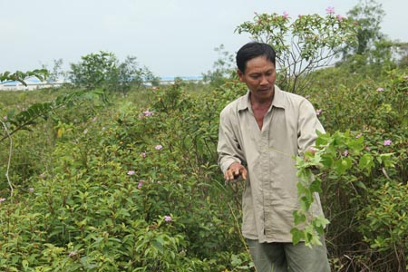 Tỉnh áp sai luật - Thiệt dân, hại ngân sách