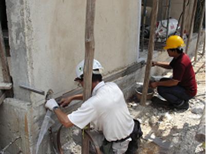 Lưới thép Termimesh: Công nghệ chống mối cho công trình xây dựng