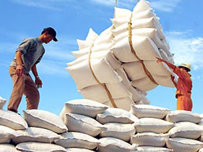 DN bất động sản,chứng khoán cũng xuất khẩu gạo