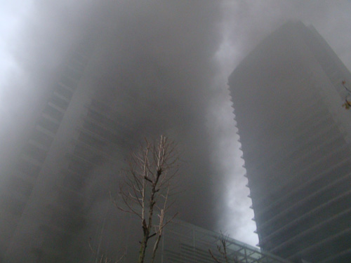 EVN lên tiếng về vụ cháy toà tháp đôi điện lực