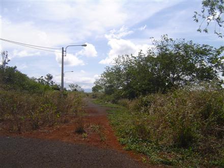 Dự án tái định cư bỏ hoang, dân không có nơi ở 