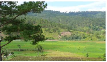 Nông dân và “bi kịch” phía sau dự án sân golf 