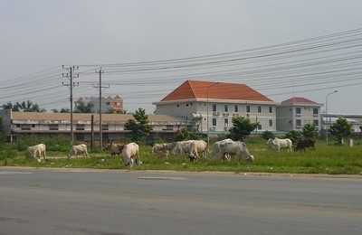 Giải pháp nào để lấp đầy căn hộ ở các dự án? (Kỳ 2)