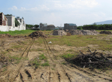 Bàu Trũng - đồng tiền chảy vào chỗ trũng! 