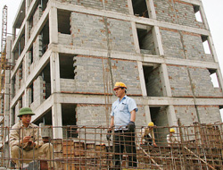 Dự án bất động sản tìm về “sân nhà”