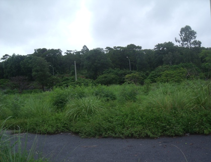 Đến bao giờ người dân Vạn Hương, Hải Phòng mới được tái định cư?