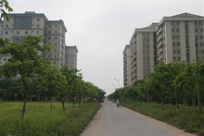 Savills Việt Nam: Tổ chức hội thảo bất động sản Việt Nam tại Nhật Bản