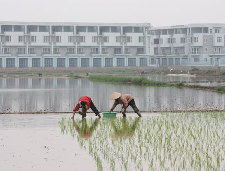 Xung quanh bảng giá đất Hà Nội năm 2012: Xa thị trường nên chỉ để ... tham khảo