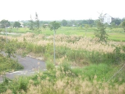 BĐS TP.HCM: Chắc giá