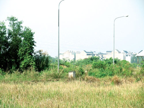 Dự án Phú Hữu: Thiệt hại do văn bản tréo ngoe 