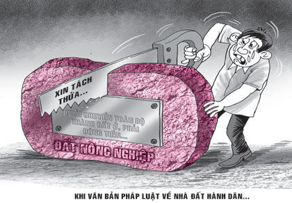 Những Quy Định Về Nhà Đất Hành Dân