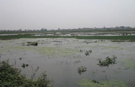 Mua đất trên giấy - rước họa vào nhà!