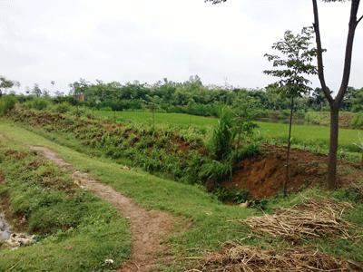 80.000m2 đất công “lách luật” thành đất riêng