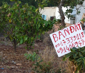 Thành phố Buôn Ma Thuật đang 