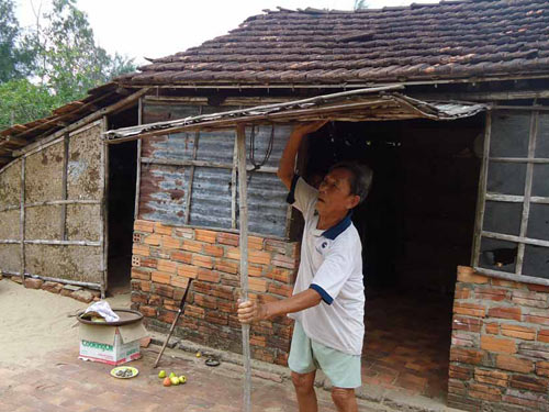 “Vạ lây” vì dự án… rùa