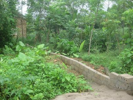 Đất Ba Vì: Hỏi mua rồi... lặn mất tăm