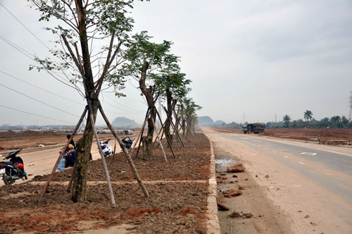 Bất động sản Đà Nẵng: Các chủ đầu tư