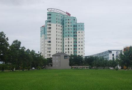 Doanh nghiệp cần phải liên kết