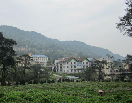 Méo mặt vì đất ế