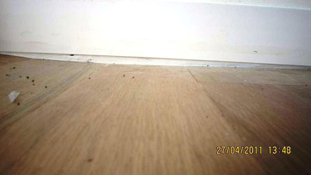 Thu phí ‘bóc lột’, Keangnam vẫn kêu lỗ