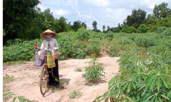Hồ thủy lợi treo: Dân tái định cư về nơi ở cũ